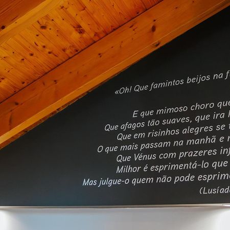 Maison d'hôtes Casa Luís de Camões - Boutique&Literary House à Santar Extérieur photo